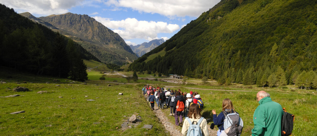 Scuola durante una gita didattica in montagna. I ragazzi con dietro il professore stanno facendo un'escursione.