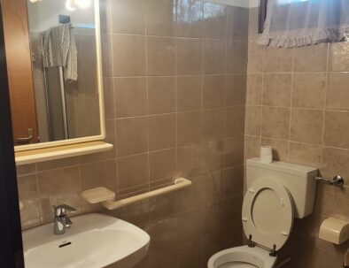 Bagno in camera che dispone di servizi igienici, lavandino specchio, bidet.