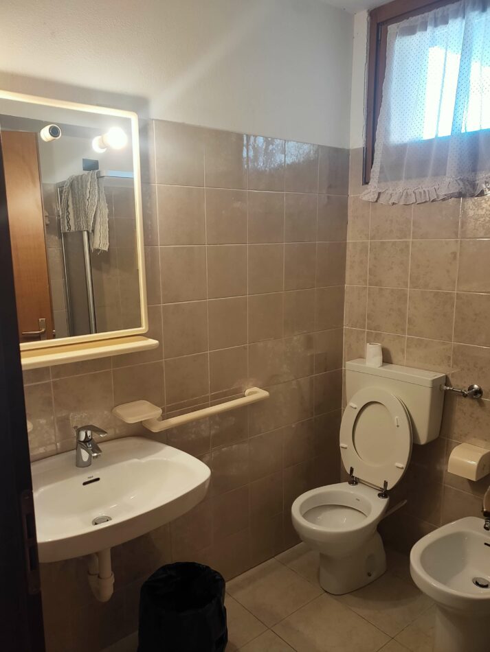 Bagno in camera che dispone di servizi igienici, lavandino specchio, bidet.